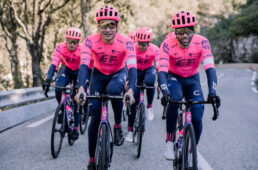 EFエデュケーション・NIPPO