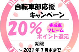 ビーチラインバイシクル