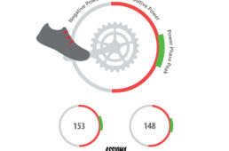 ファベロ アシオマ