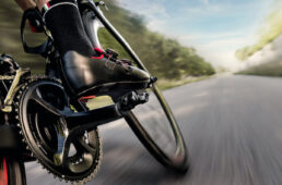 ファベロ アシオマ