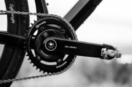 アルデューカーボン