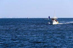 淡路島テストイベント