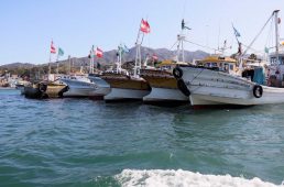 淡路島テストイベント