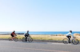 淡路島テストイベント