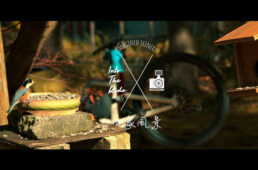 バイシクリズム