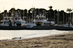 別府史之が見た世界2021第1回