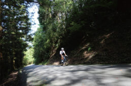 関西ヒルクライムコースガイド