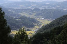 関西ヒルクライムコースガイド奈良