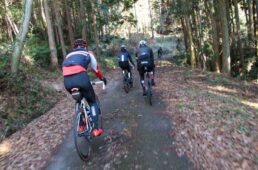 raphakunisakiridercc