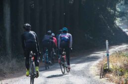 raphakunisakiridercc