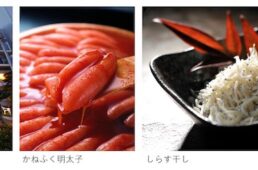 ライドアラウンド in 大洗