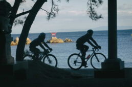 raphakunisakiridercc