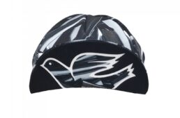 チネリアートプログラム