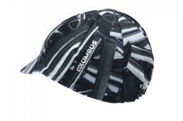 チネリアートプログラム