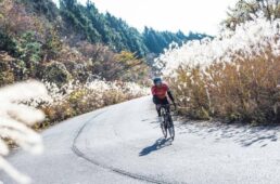 富士エリアサイクリングガイド