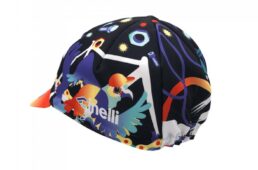 チネリアートプログラム