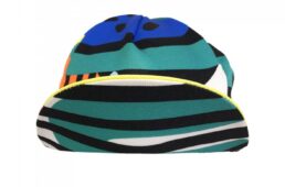 チネリアートプログラム