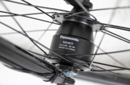 ネスト・バカンゼ２ フラッシュ