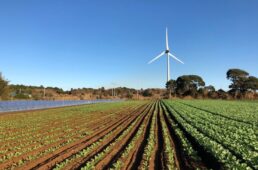 銚子イイグルメライド withツール・ド