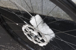 ハブのシャンプー洗浄