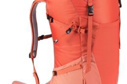 ドイター・フューチュラ