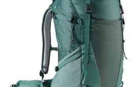 ドイター・フューチュラ