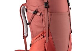 ドイター・フューチュラ