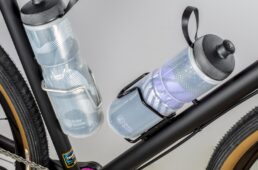 ダボス・ネオランドナーD-604