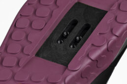 フィジーク・グラビータ