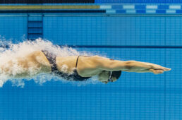 ポラール・ヴェリティ センス