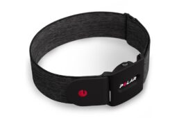 ポラール・ヴェリティ センス