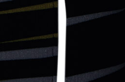 パールイズミ・スピードセンサーⅡ