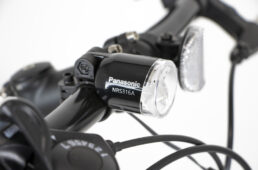 ネスト・バカンゼ２ フラッシュ