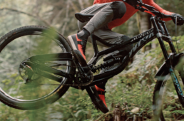 フィジーク・グラビータ