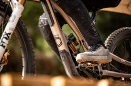 フィジーク・グラビータ