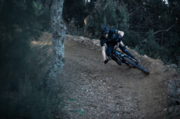 フィジーク・グラビータ