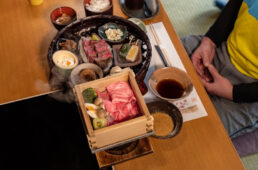 守山市サイクリング