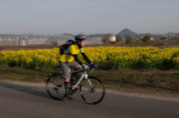 守山市サイクリング