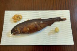 守山市サイクリング