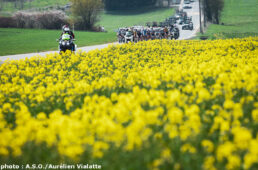 フレッシュ・ワロンヌ