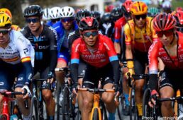 新城幸也　ツアー・オブ・ジ・アルプス2021