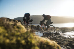 シュワルベ ジーワン オールラウンド