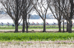 JCL 真岡ロード 風景