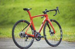 ピナレロ・プリンス ディスク