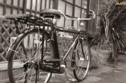 ニューマルキン号