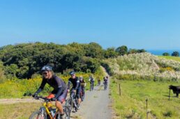 トレック　デイライトサイクリング