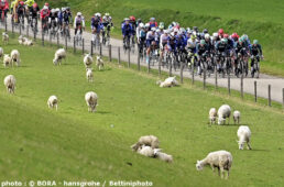 シュヘルデプレイス