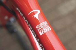 フレーム素材は東レのT600UDカーボン。レース志向ではないが、強度とコストパフォーマンスに優れ、ロングライドやエンデューロ、ちょっとしたグラベルまでさまざまな乗り方を許容する