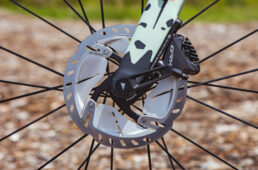 グリズルのブレーキローター