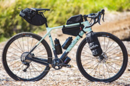 グリズルのコーディネート例